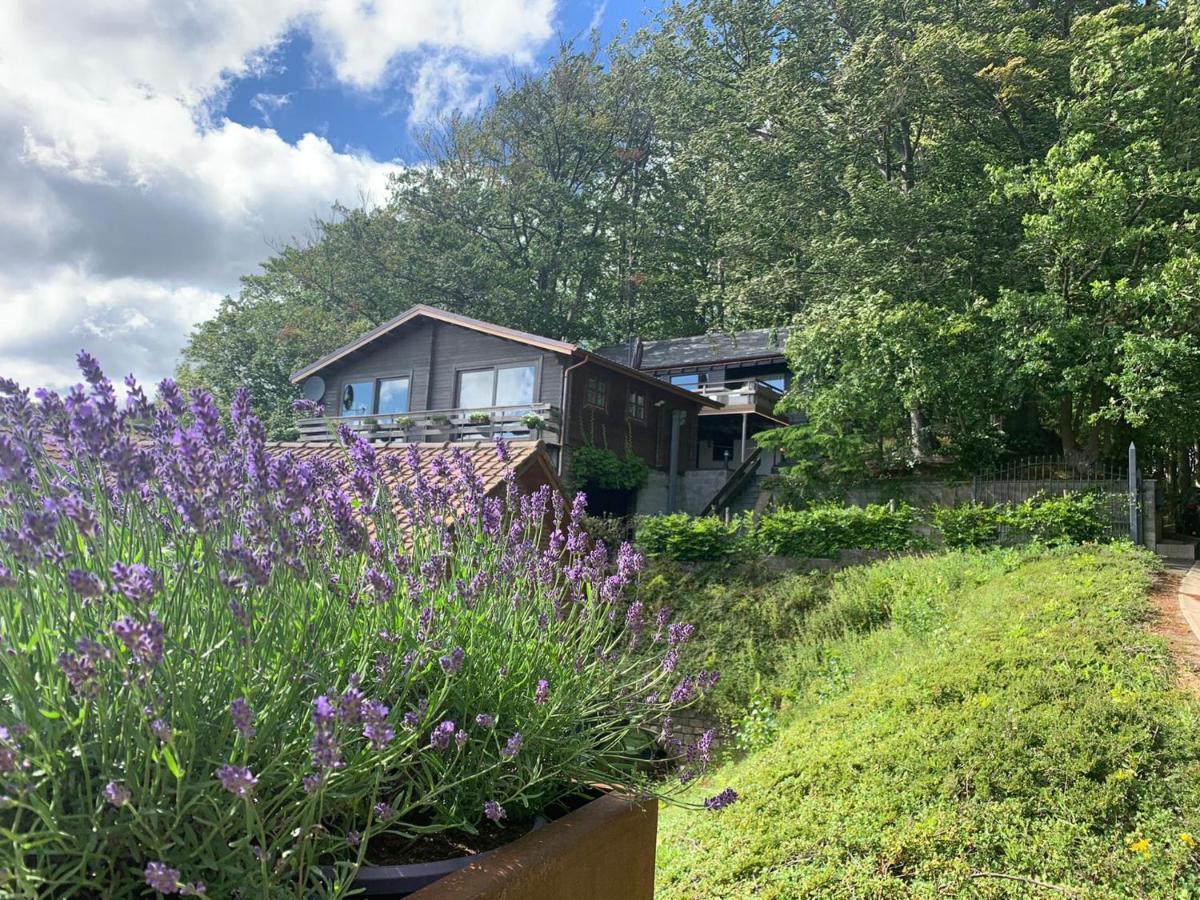 Chalet De La Sabliere Amougies ภายนอก รูปภาพ