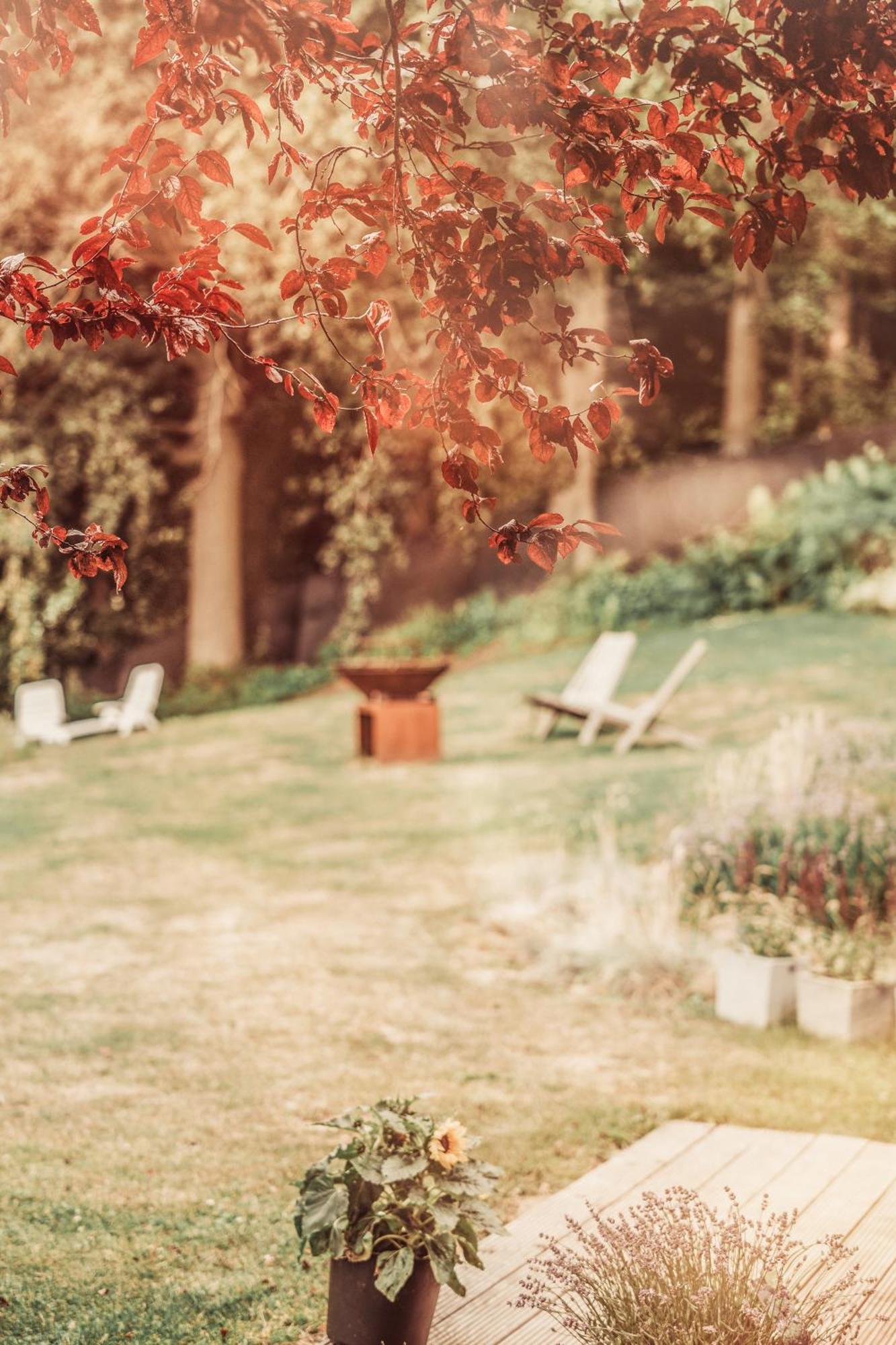 Chalet De La Sabliere Amougies ภายนอก รูปภาพ